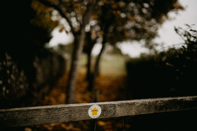 Close-up of railing against trees