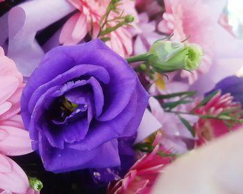 Close-up of pink rose bouquet