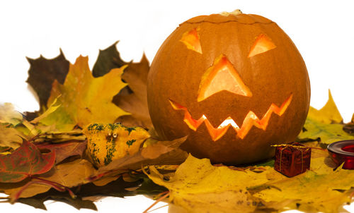 Close-up of pumpkin during halloween