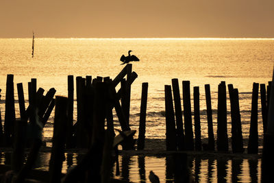 Silhouette birds on wooden post at beach against clear sky