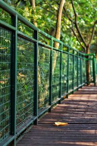 View of bird on bridge