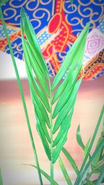 High angle view of leaf on plant