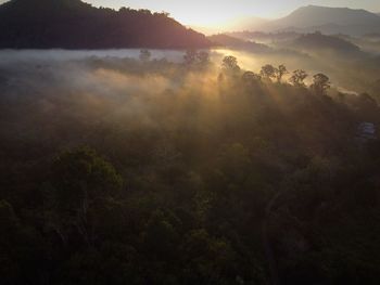 environment