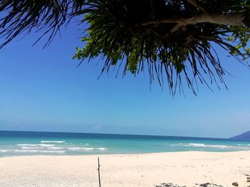 Scenic view of sea against clear blue sky