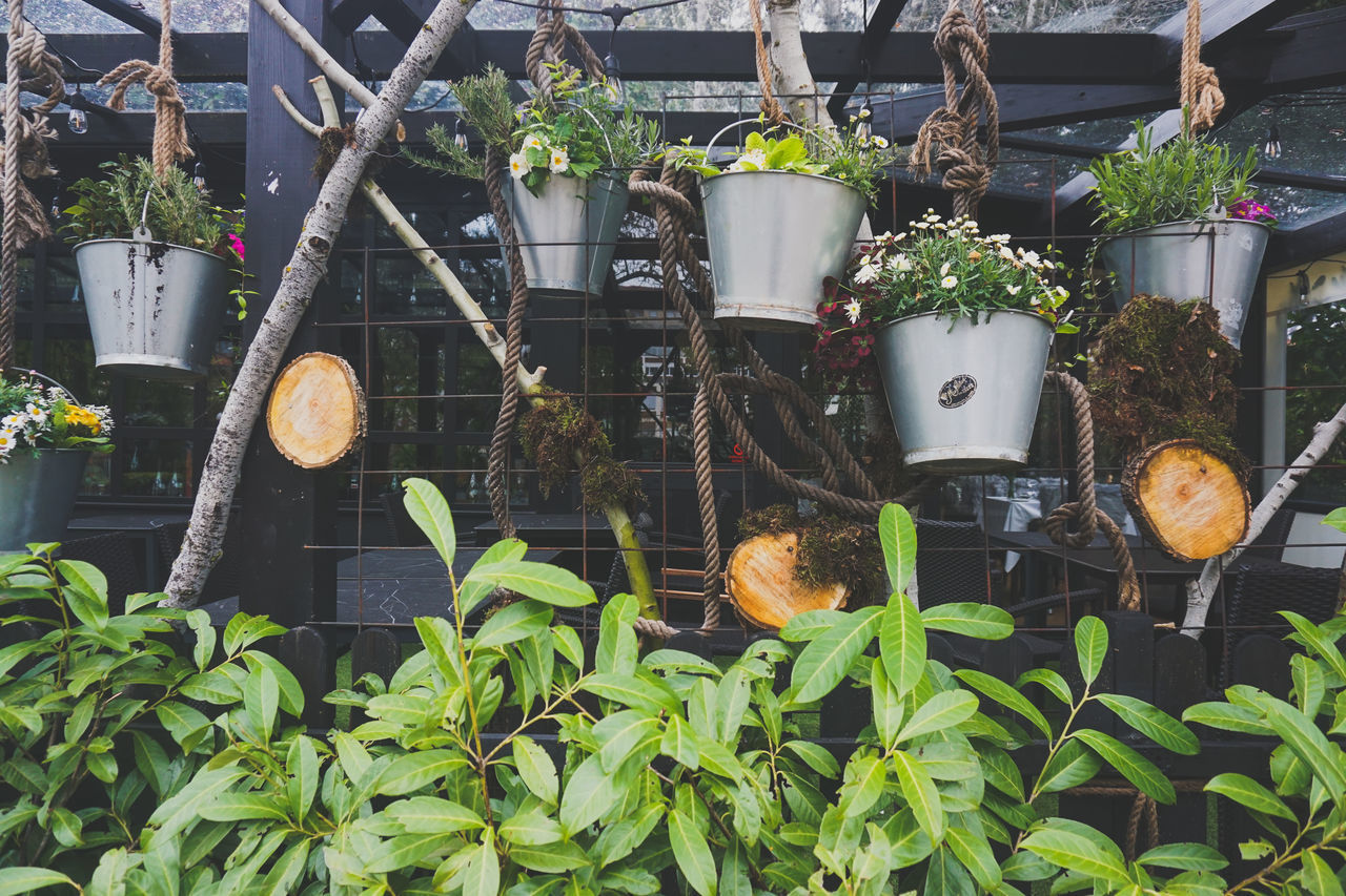 POTTED PLANTS HANGING AT GREENHOUSE