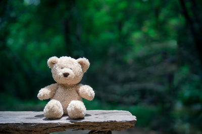 Teddy bear against trees on wood