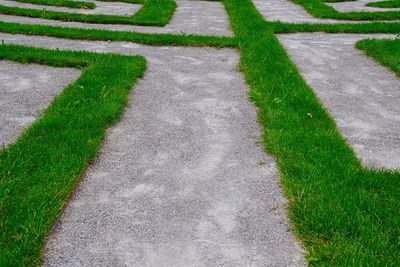 High angle view of footpath amidst field