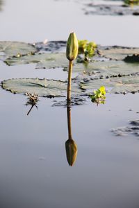 Close-up of water