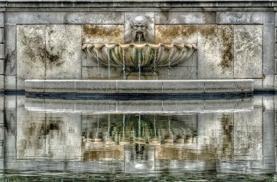 Reflection of trees in water