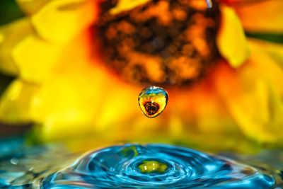 Close-up of a water drop.