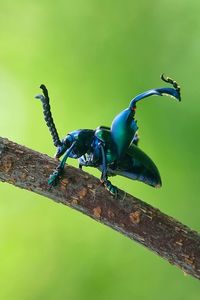 Low angle view of bird perching on leaf