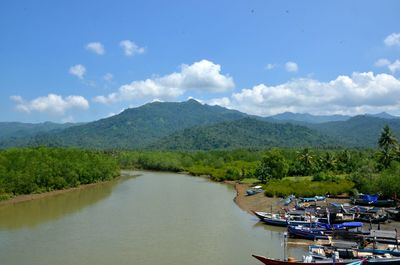 Scenic view of river amidst trees against sky