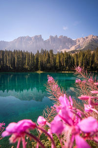 Scenic view of lake and mountains. lake carezza, italy 