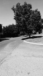 Car on road