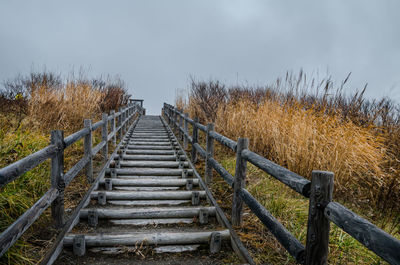 Steps amidst trees against sky