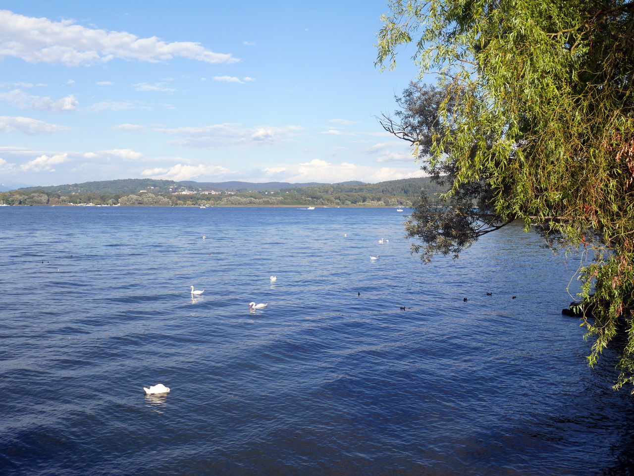 SCENIC VIEW OF SEA