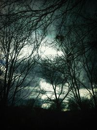 Silhouette of bare trees against sky