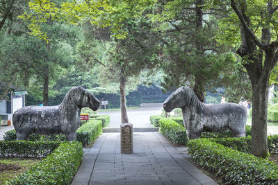 Statue amidst trees in park