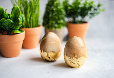 Easter card concept with wooden eggs and green plants in pot