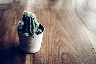 Close-up of potted plant on table