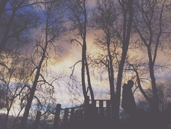 Bare trees against sky at sunset