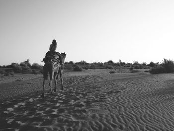 Rear view of horse on beach against clear sky