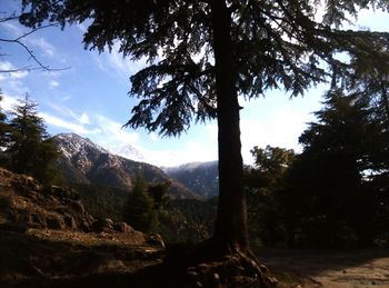 Scenic view of mountains