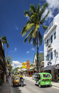 Cars on road by palm trees and buildings against sky