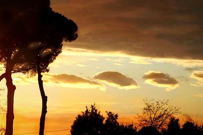 Low angle view of silhouette trees against sky