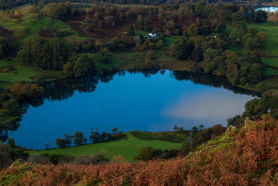Reflection of trees on lake during autumn
