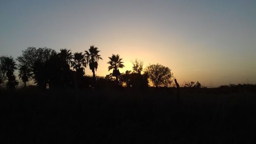 Silhouette trees against clear sky at sunset