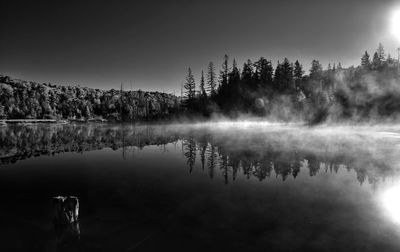 Scenic view of lake in forest against sky