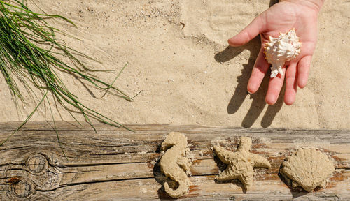 High angle view of hands on sand at beach