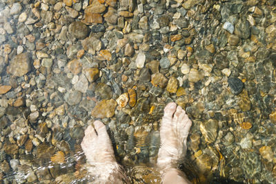 Low section of man standing on rock