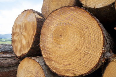 Close-up of firewood