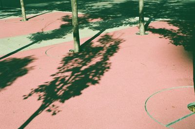 High angle view of tree shadow on sand