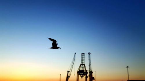 Low angle view of silhouette bird flying against clear sky