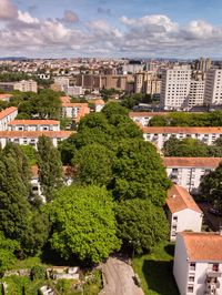 High angle view of trees and buildings in town