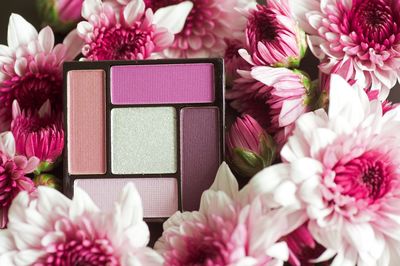 Close-up of pink flowers