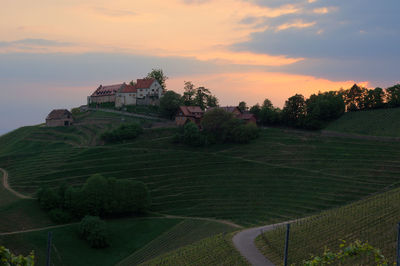 Scenic view of agricultural field against sky during sunset