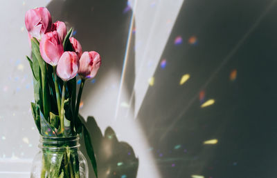 Close-up of pink flowers in vase