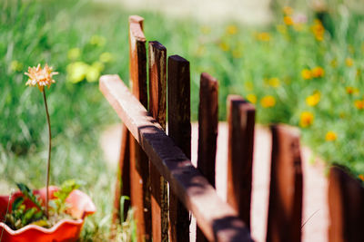 Close-up of wooden post by plants on fence