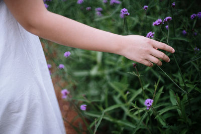 Midsection of woman holding purple flowering plant