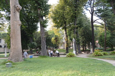 Man sitting on bench in park