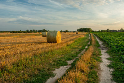 Dirt road and hay bales in the field, rural evening view