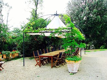 Empty chairs and table in park