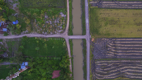 High angle view of trees and plants in city