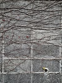 Full frame shot of abstract background
