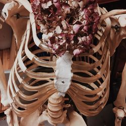 Close-up of purple flowers on human skeleton