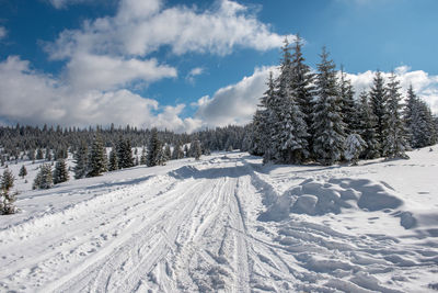 Snowy mountain country road in the forest